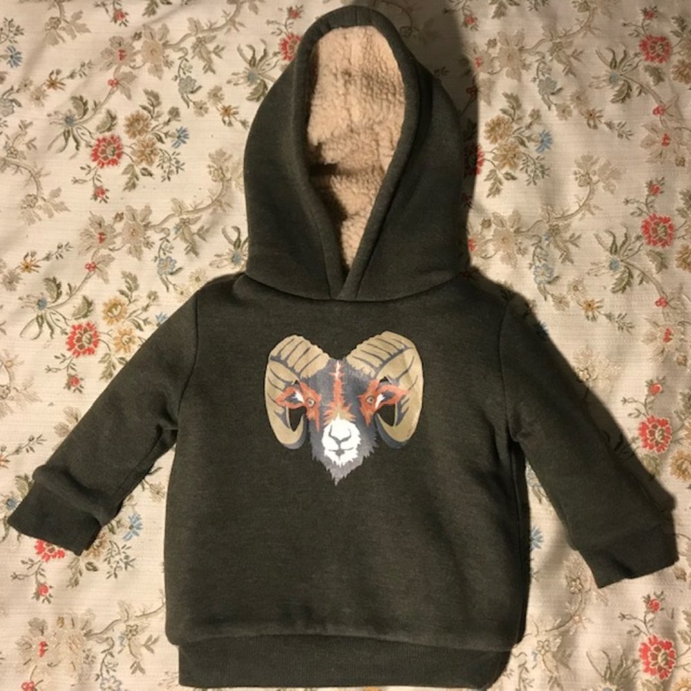 Anais & I Green Aries Hoodie - 12M